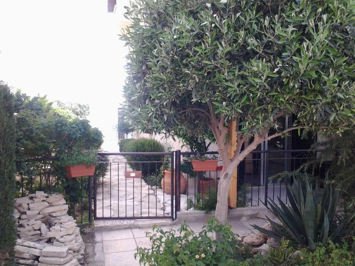 The Best Paphos Esterno foto